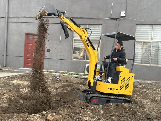 Guinea Bans Heavy Mining Machinery, Boosting Mini Excavator Imports